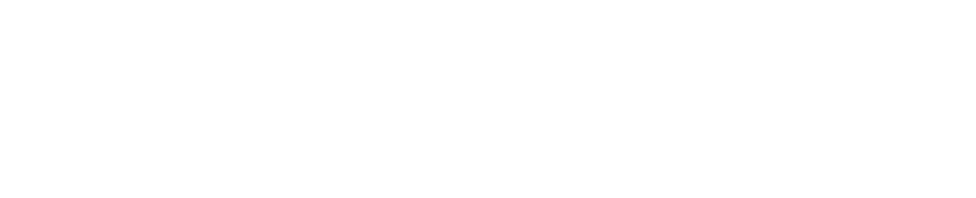WebCamera.pl
